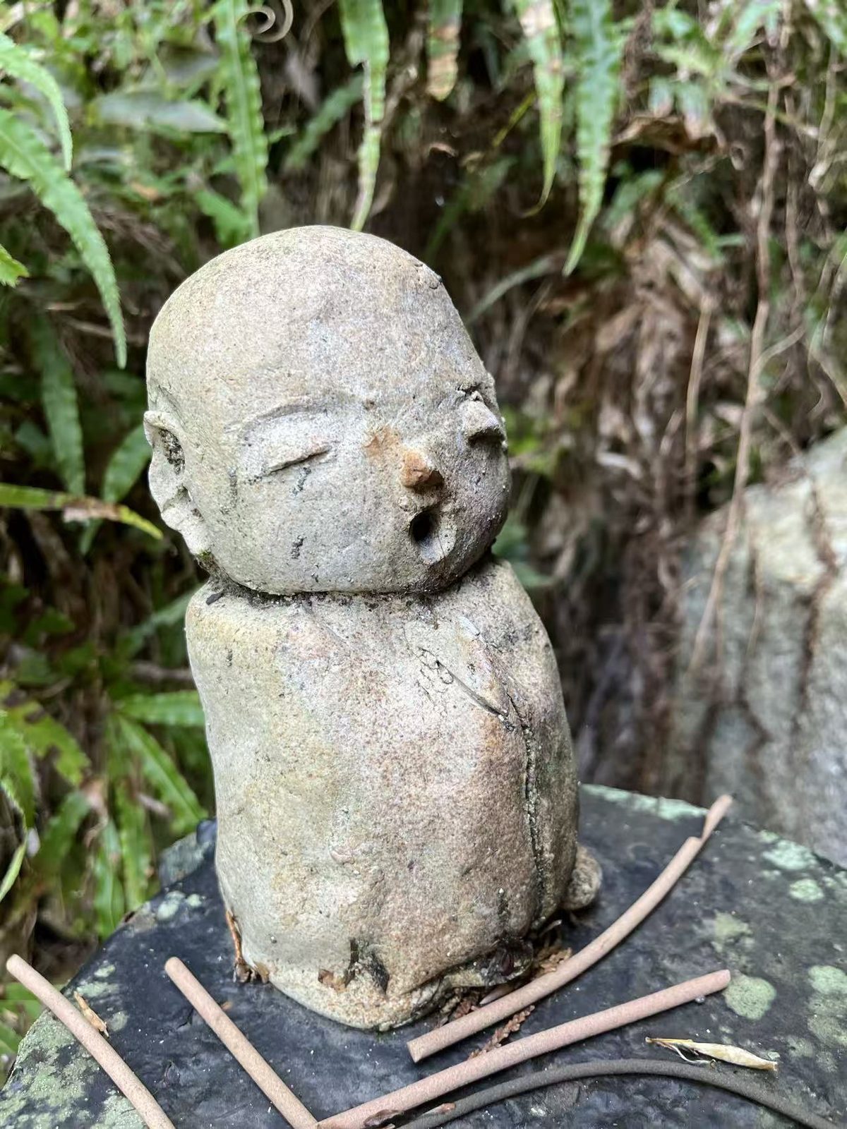 蕨草丛前一尊风化的小石像，座前留有燃过的线香